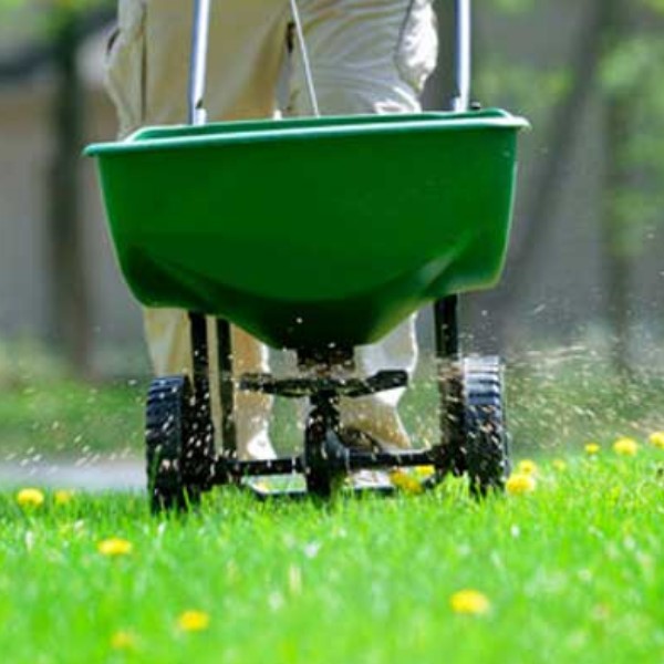 home & garden maintenance services Campbelltown